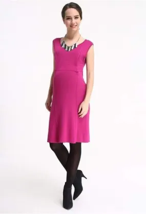 Sherry Contract Piping Dress Plum